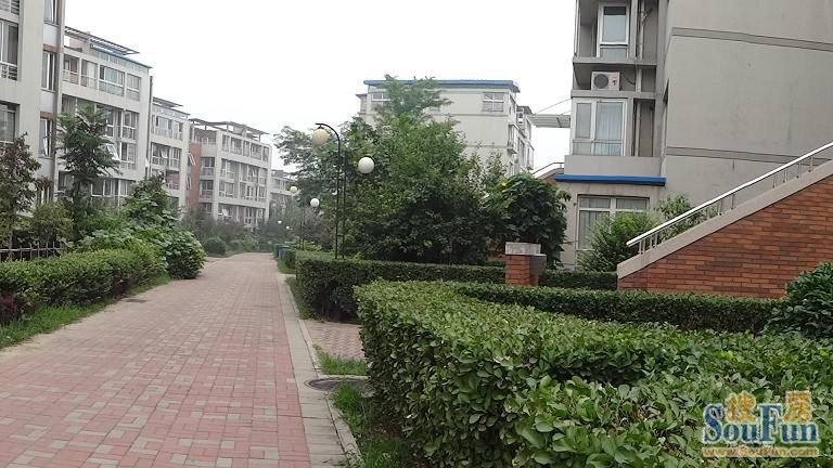 領(lǐng)秀硅谷